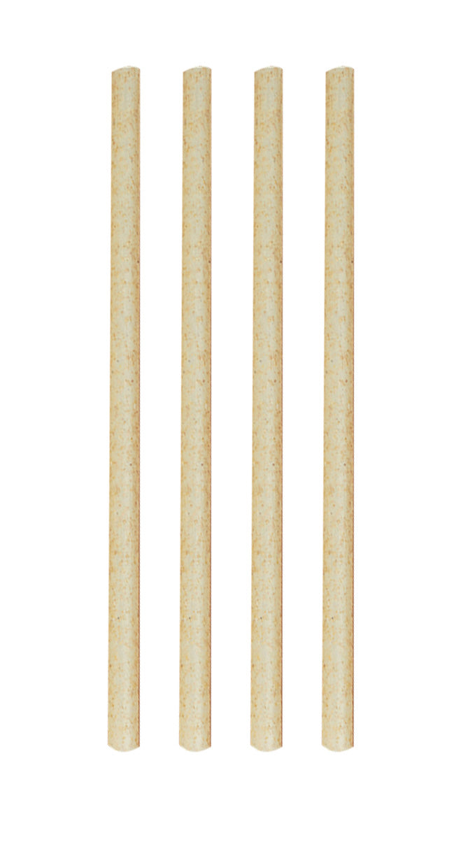 Sugar Cane Cocktail Straws, 14cm - Set of 50 - 14932
