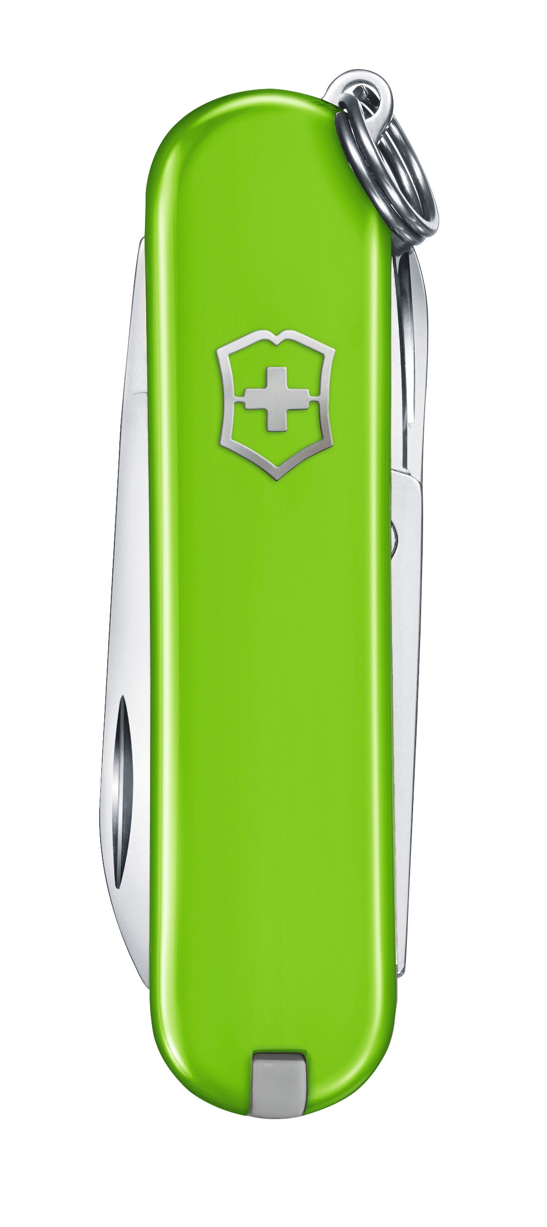 Classic SD, Smashed Avocado