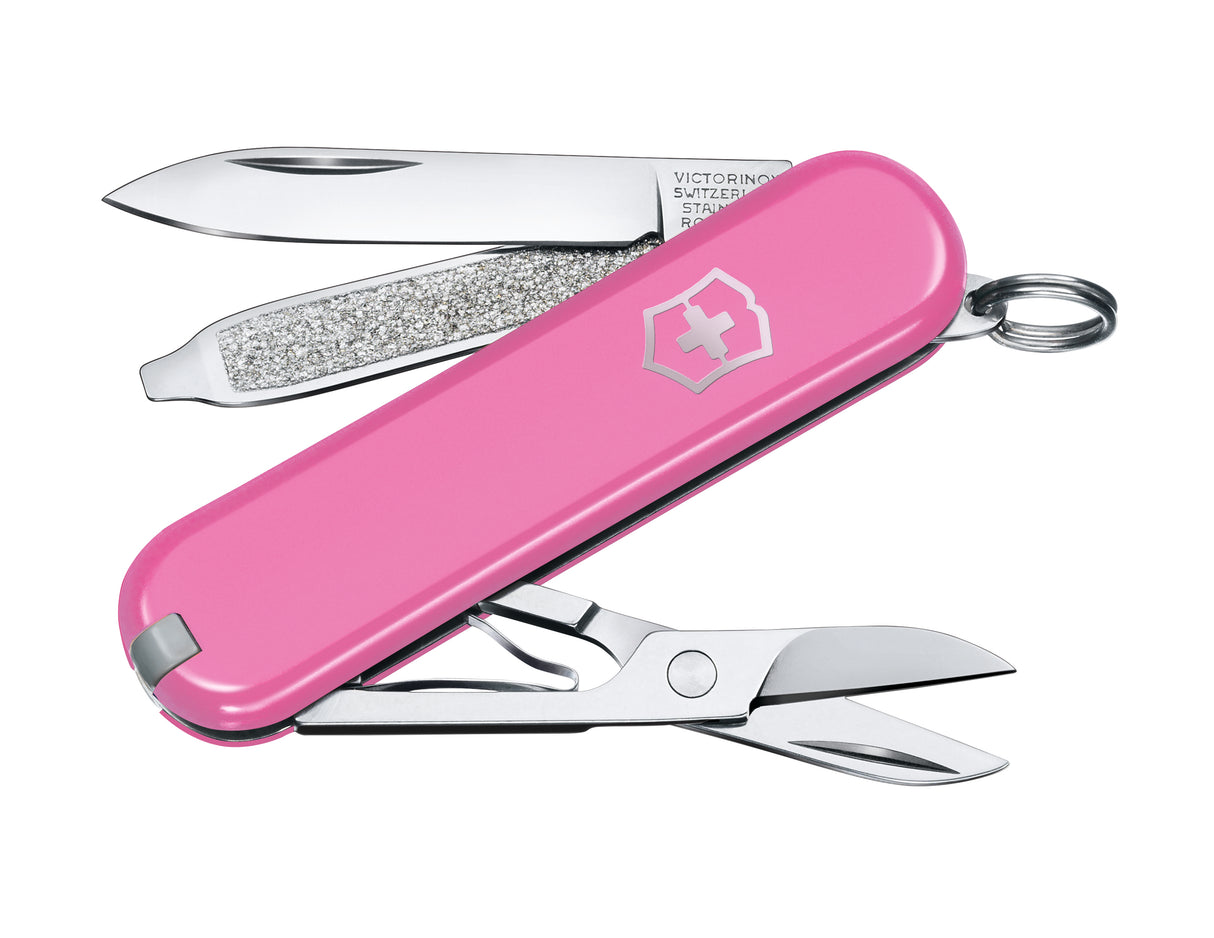 Classic SD, Cherry Blossom