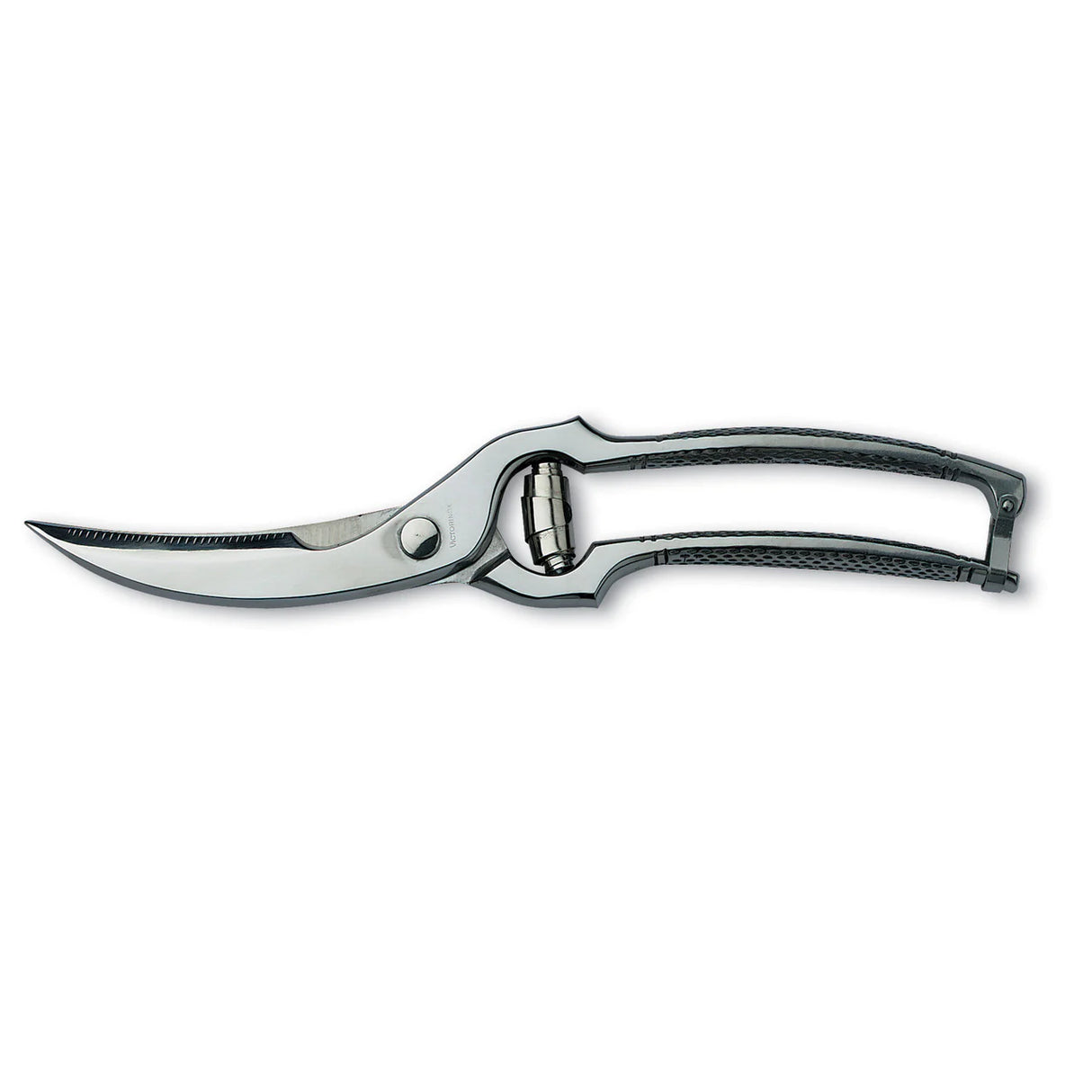 Poultry Shears, Forged 25cm - Stainless