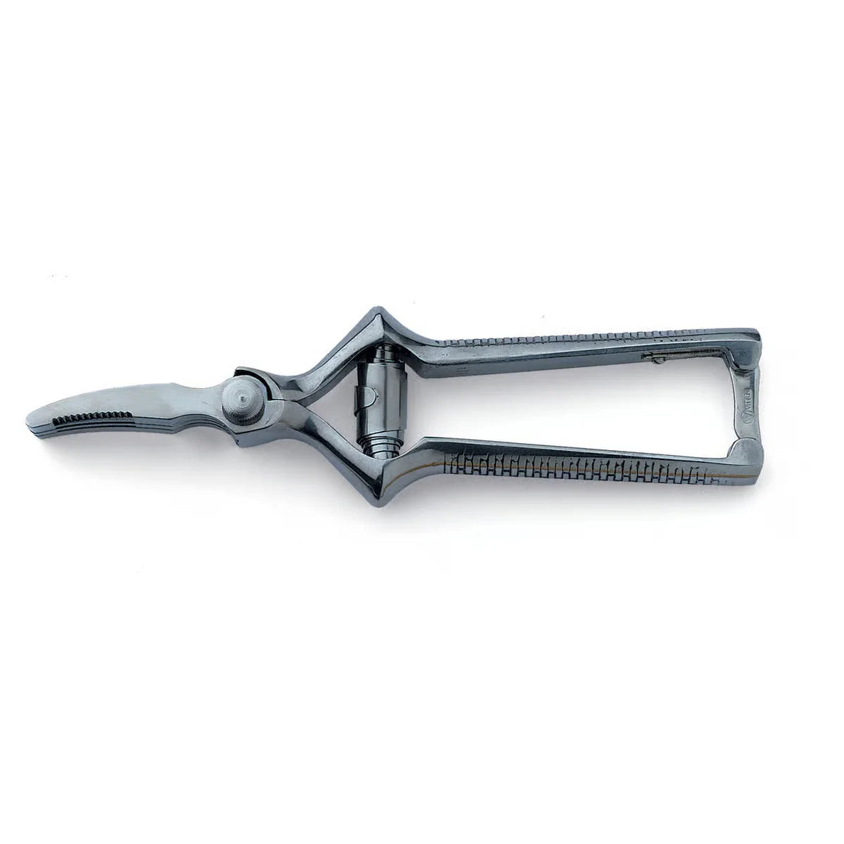 Meat Mincing Shears, 18cm - Stainless