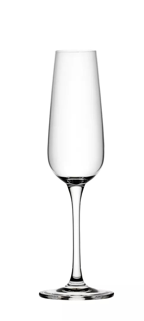 Mississippi Champagne Flute (Set of 6)