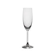 Carnivale Champagne Flute, 180Ml