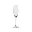 Ryner Glass Tempo