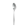13655 - TRENTON Hamilton Teaspoon-18/10 Dozen