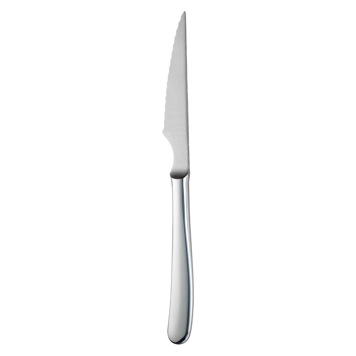 Steak Knife-S/S Handle