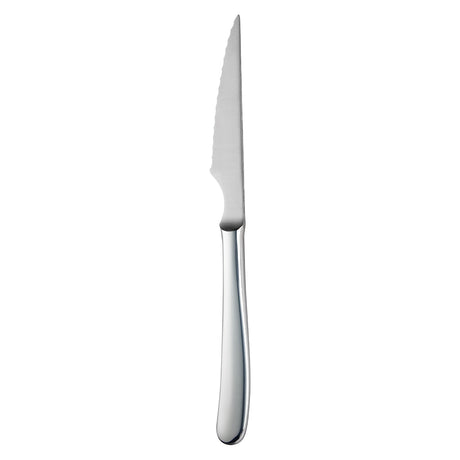 Steak Knife-S/S Handle