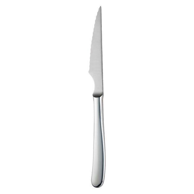 Steak Knife-S/S Handle