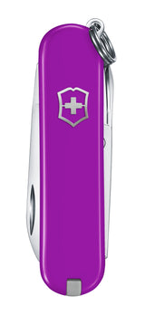Classic SD, Tasty Grape