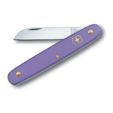 Floral Knife, Violet