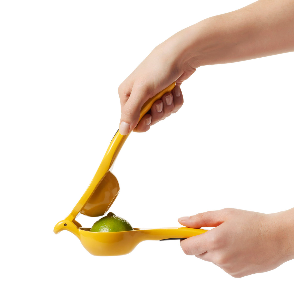 Citrus Squeezer