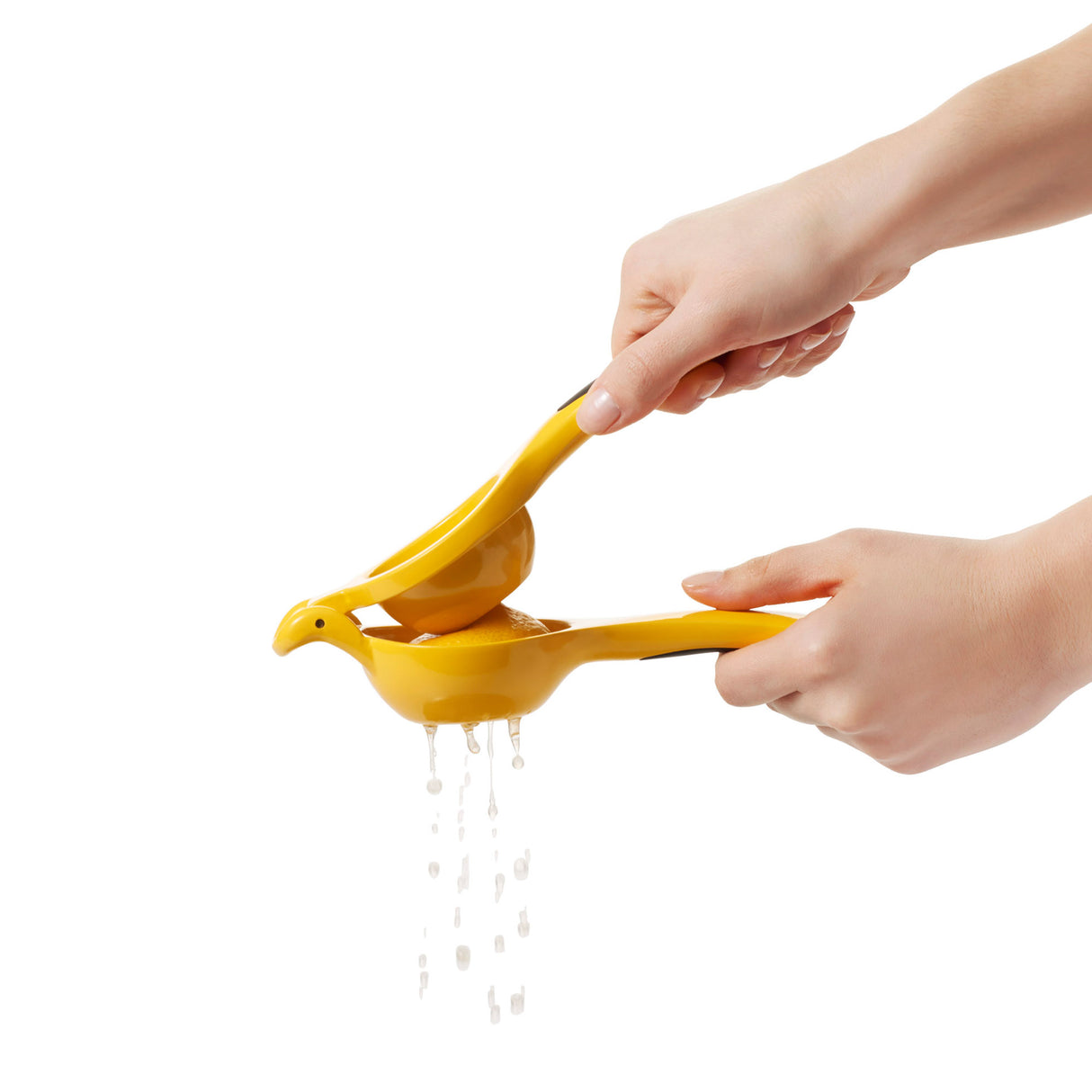 Citrus Squeezer