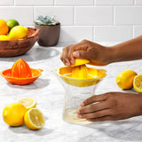 2-in-1 Citrus Juicer