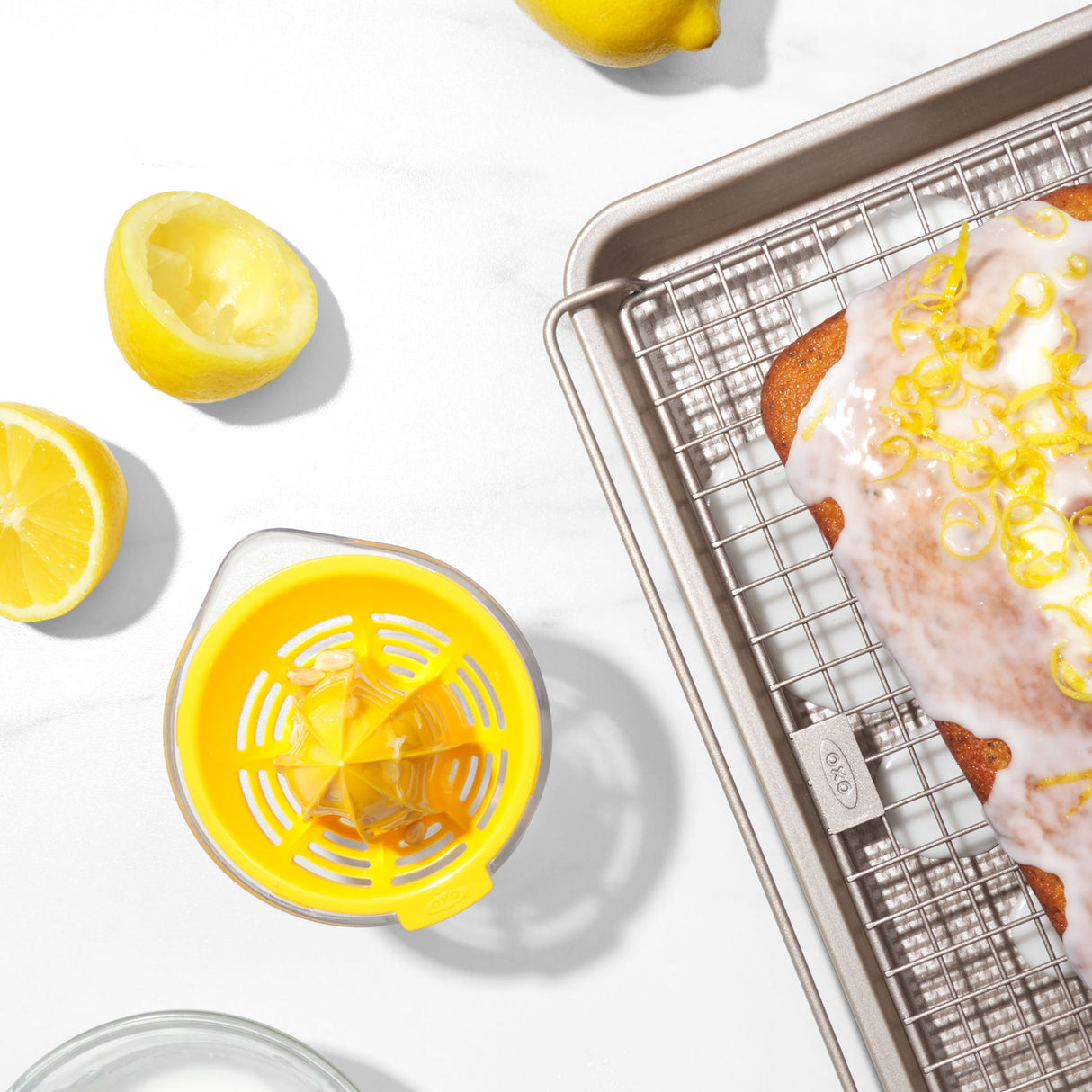 Small Citrus Juicer