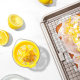 Small Citrus Juicer