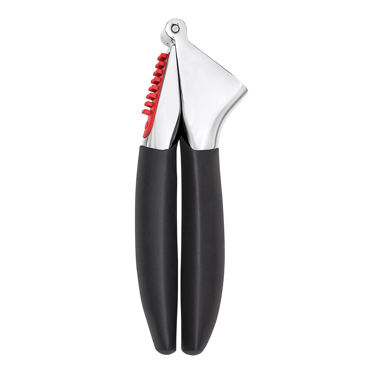 Garlic Press