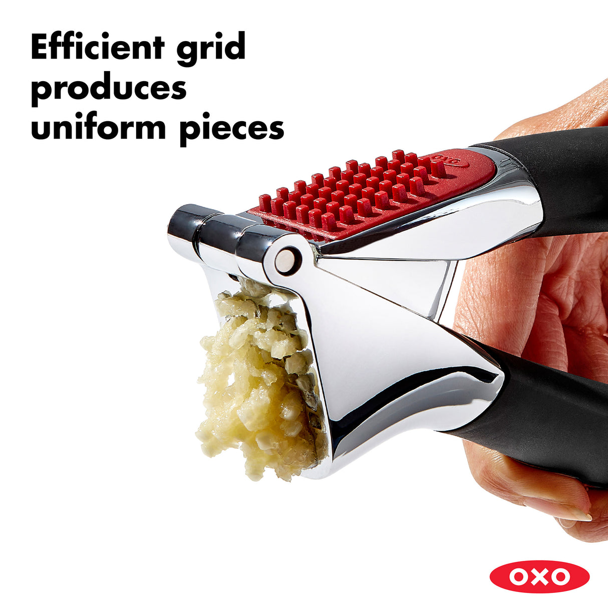 Garlic Press
