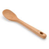 Large Spoon