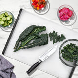 Carving and Cutting Board