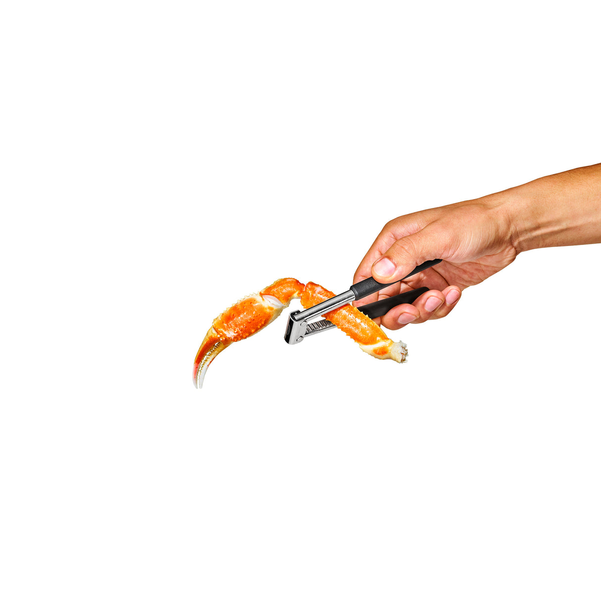 Seafood & Nut Cracker