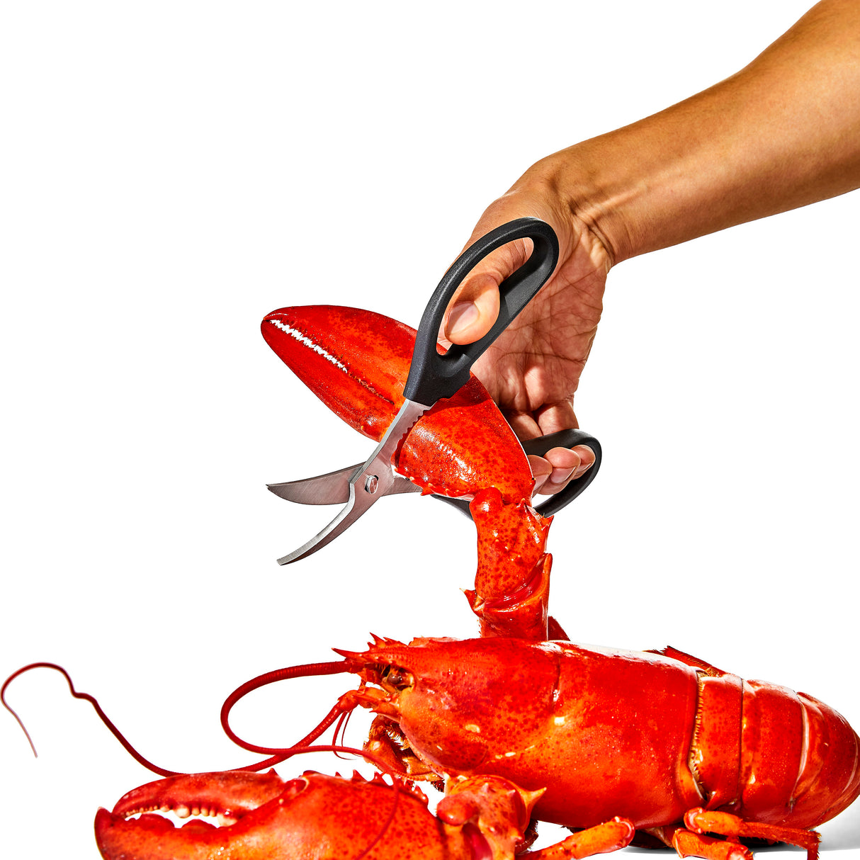 Seafood Scissors