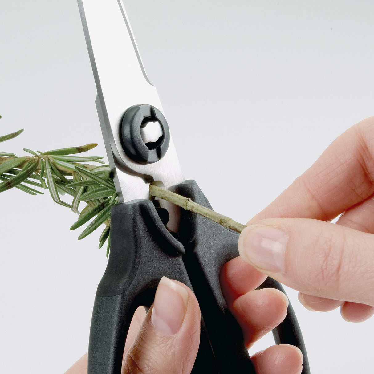 Kitchen & Herb Scissors