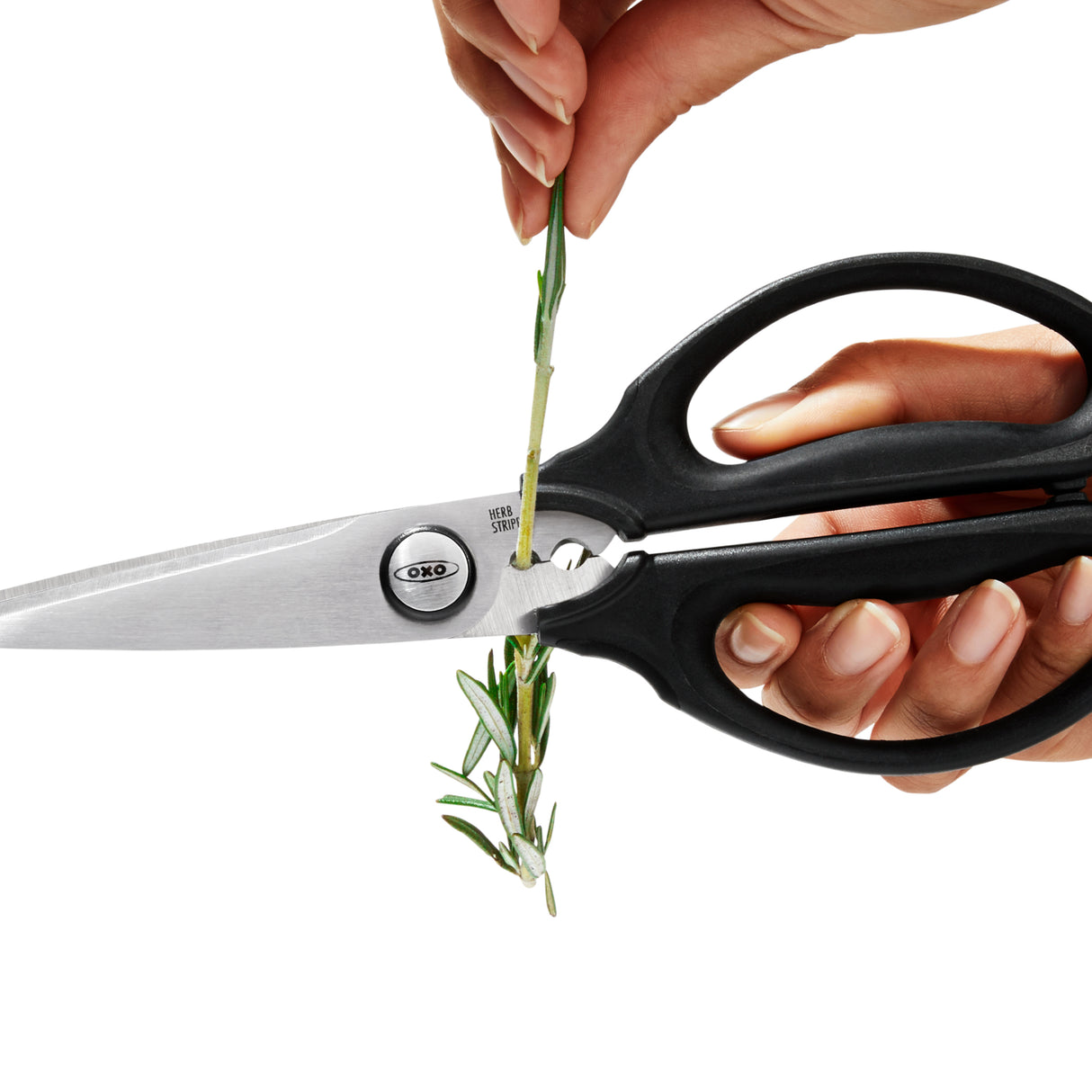 Kitchen & Herb Scissors
