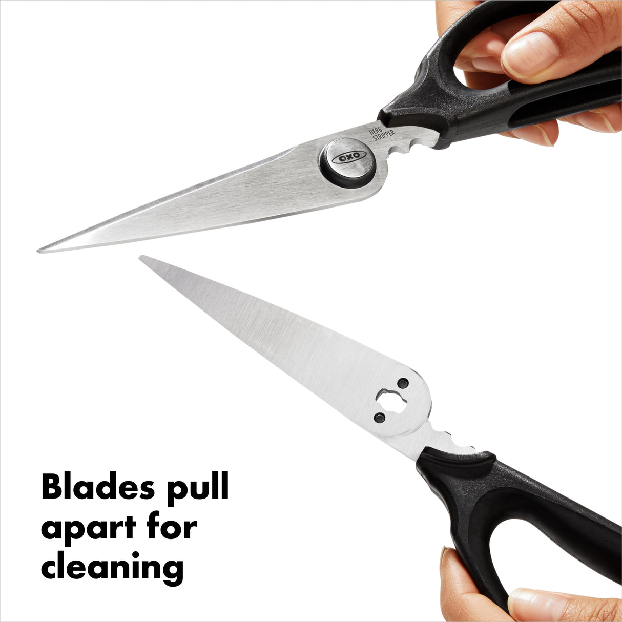 Kitchen & Herb Scissors