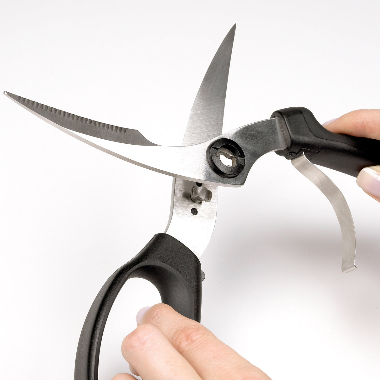Poultry Shears