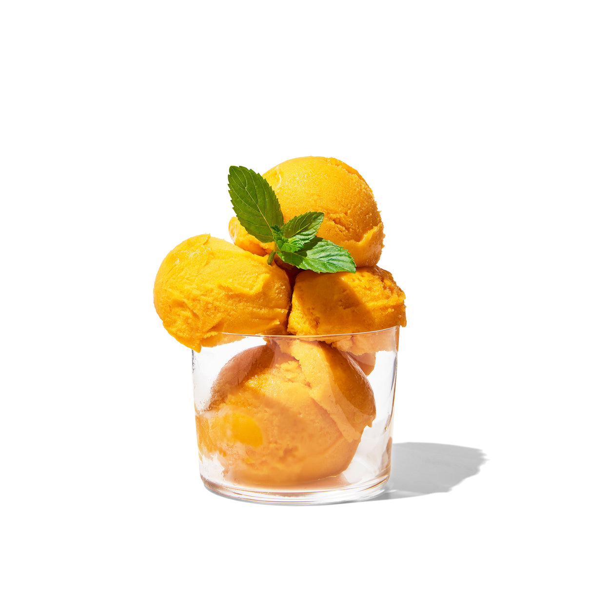 Basic Ice Cream Scoop