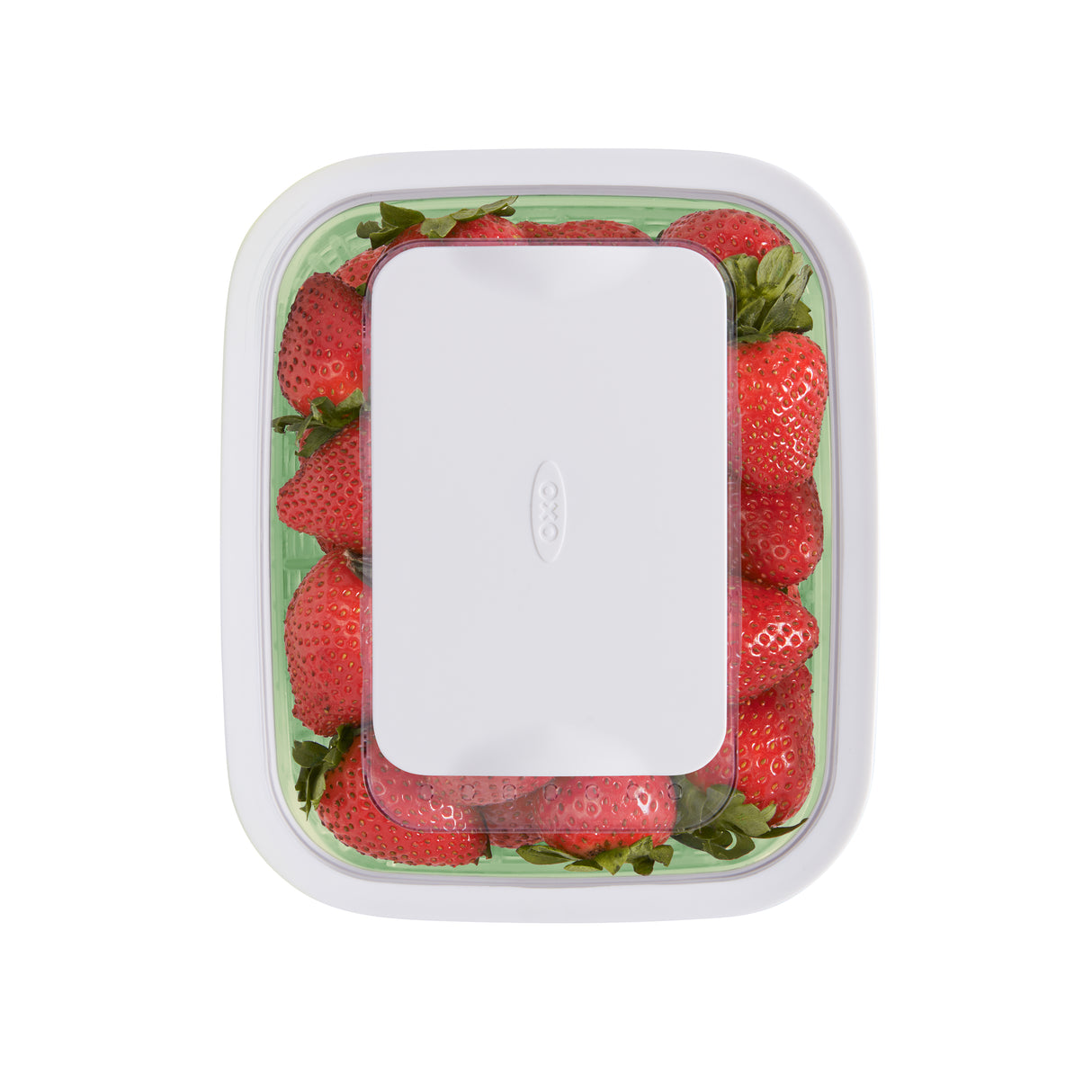 GreenSaver™ Produce Keeper - 1.5L