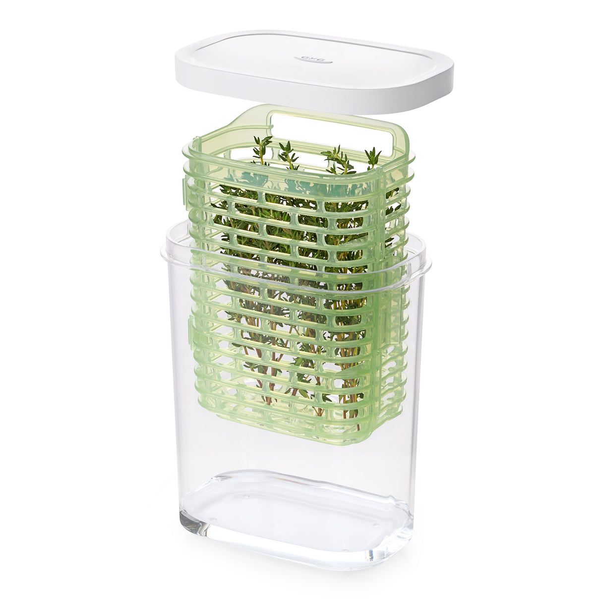 GreenSaver™ Herb Keeper - Small