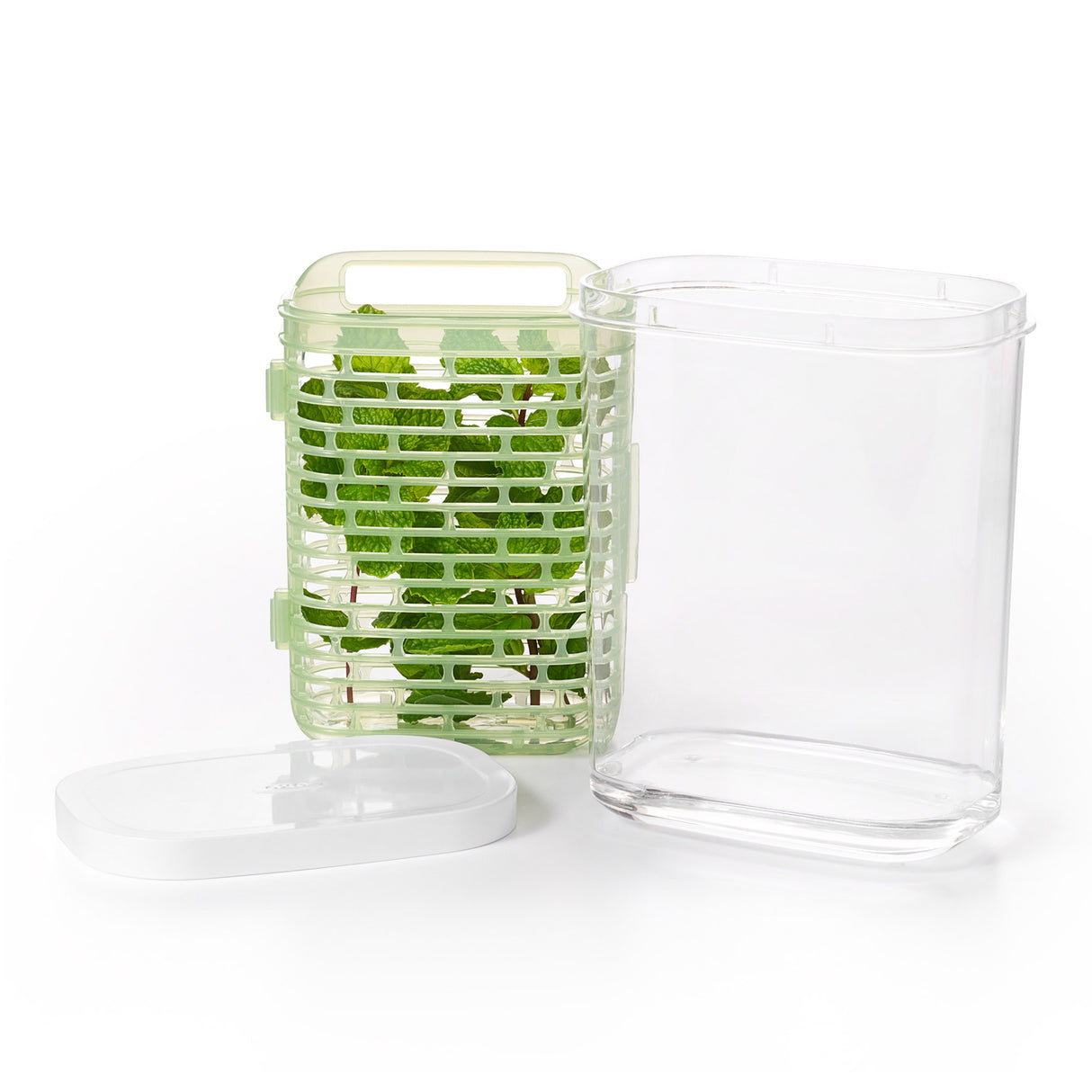 GreenSaver™ Herb Keeper - Small