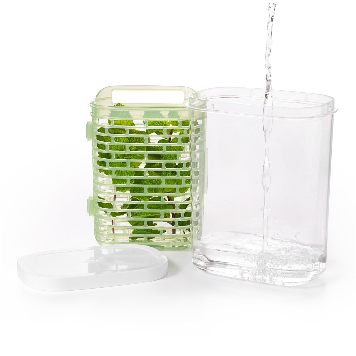 GreenSaver™ Herb Keeper - Small