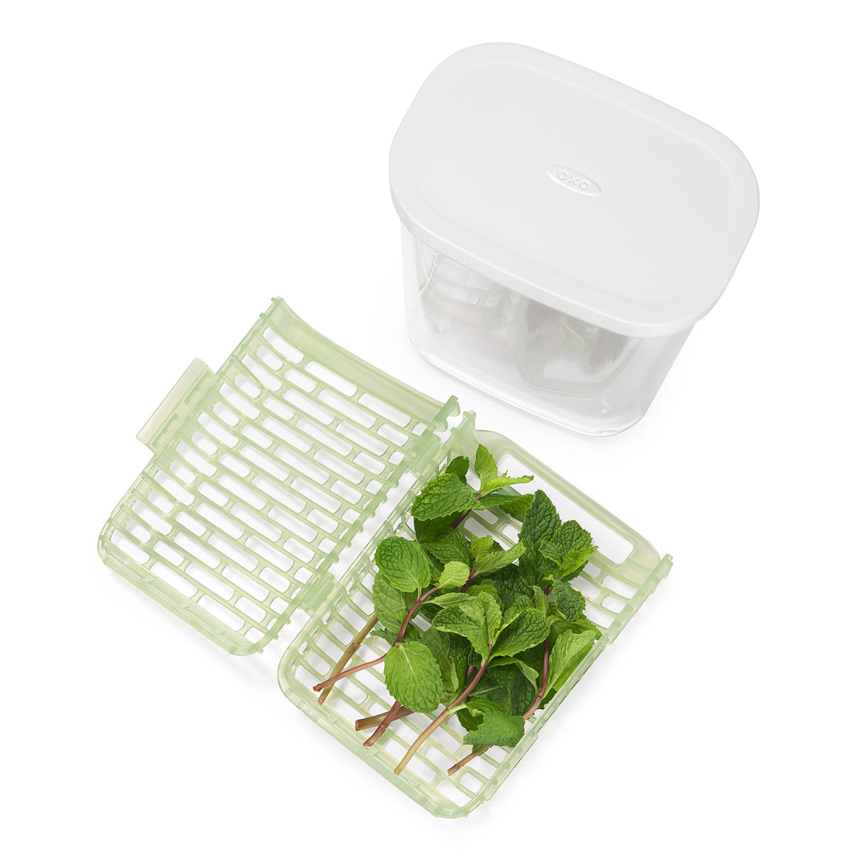 GreenSaver™ Herb Keeper - Small