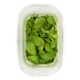GreenSaver™ Herb Keeper - Small