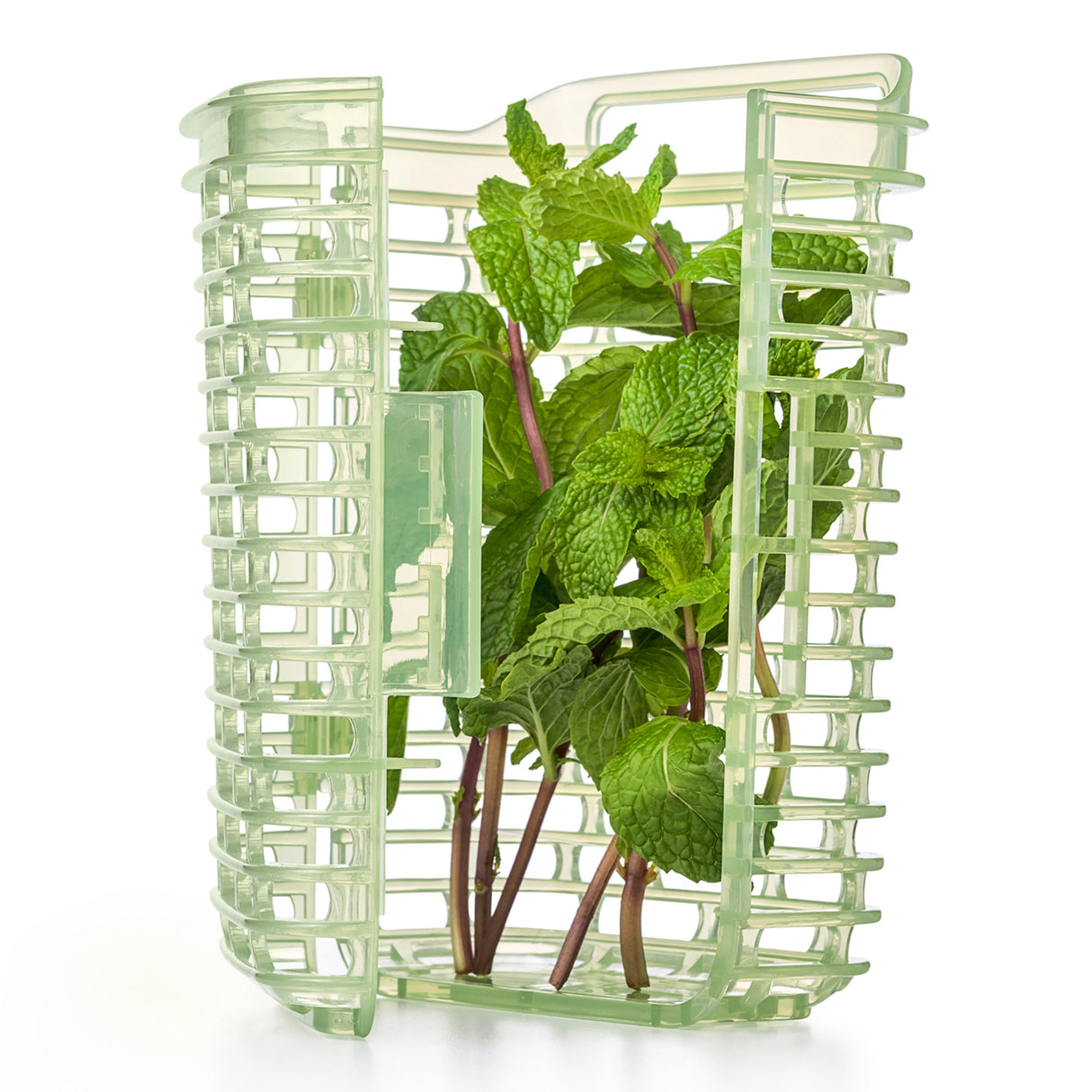 GreenSaver™ Herb Keeper - Small