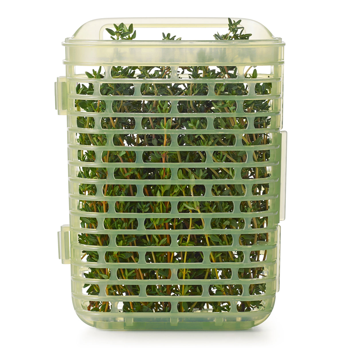 GreenSaver™ Herb Keeper - Small