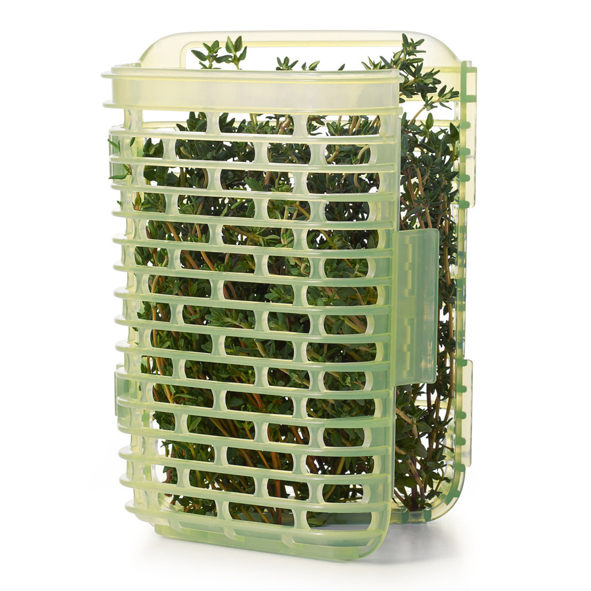 GreenSaver™ Herb Keeper - Small