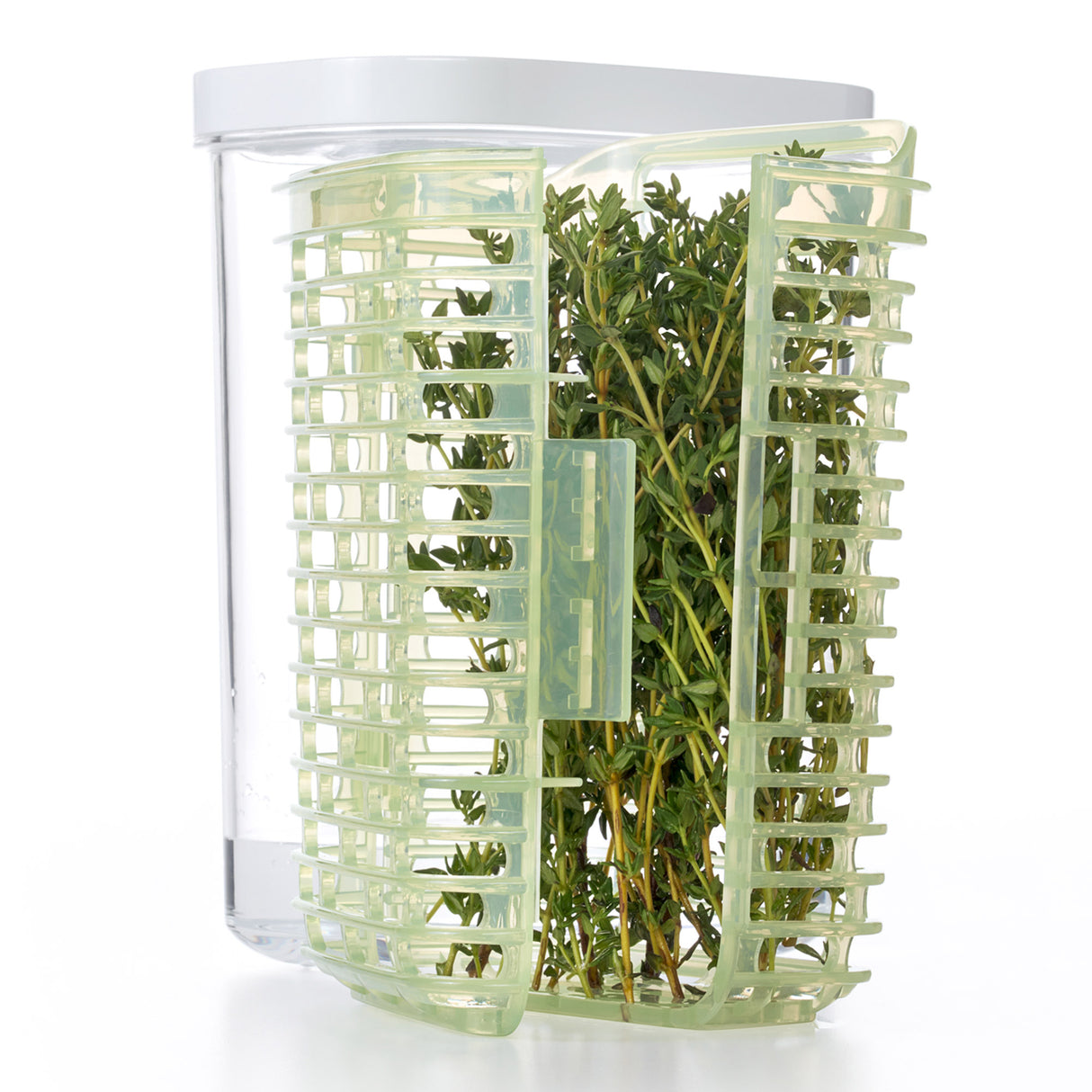 GreenSaver™ Herb Keeper - Small