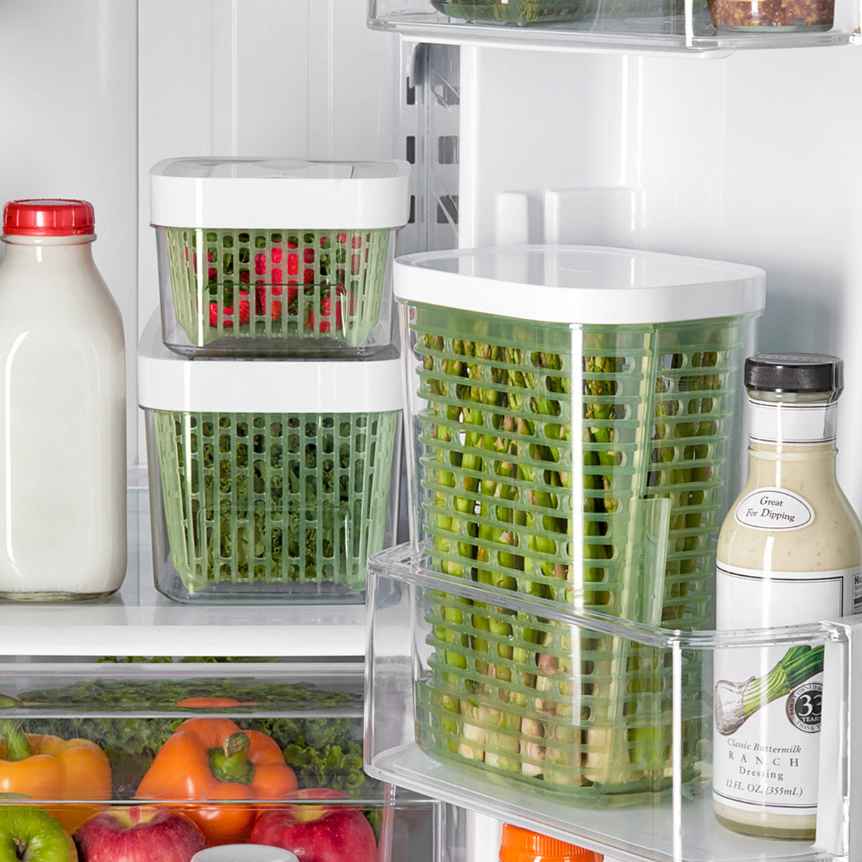 GreenSaver™ Herb Keeper - Small