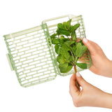 GreenSaver™ Herb Keeper - Small