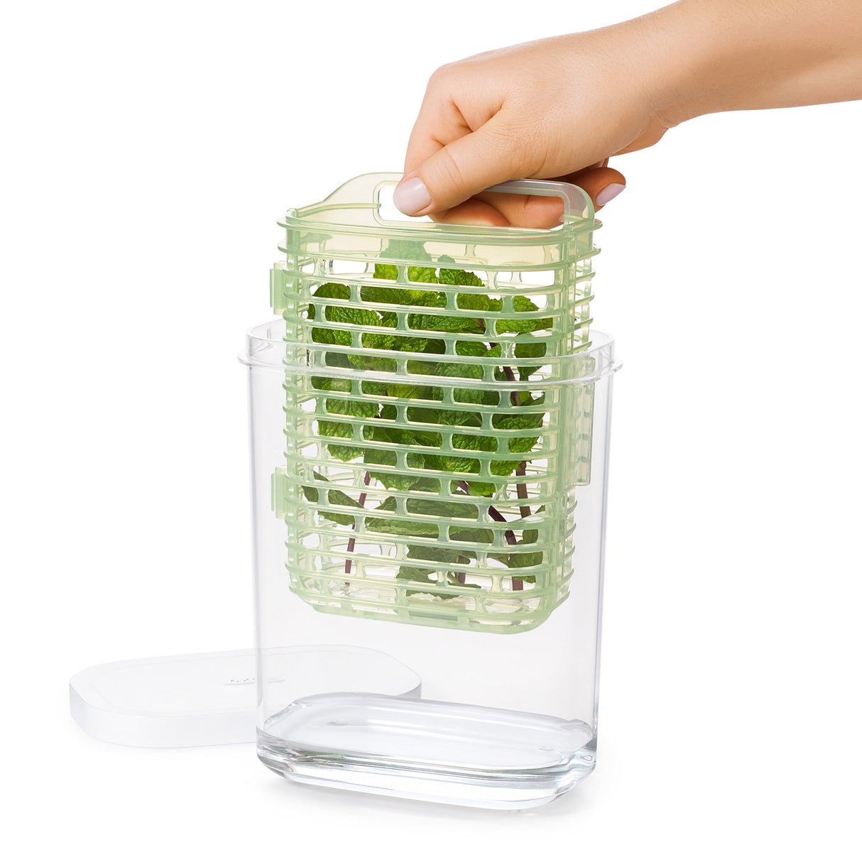 GreenSaver™ Herb Keeper - Small