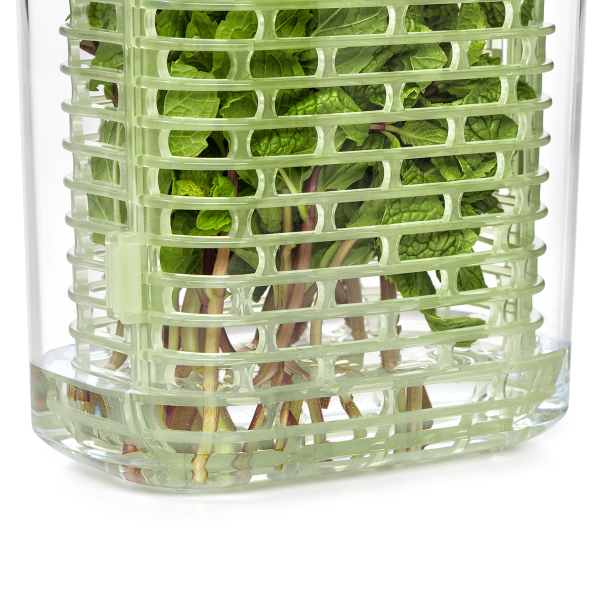 GreenSaver™ Herb Keeper - Small