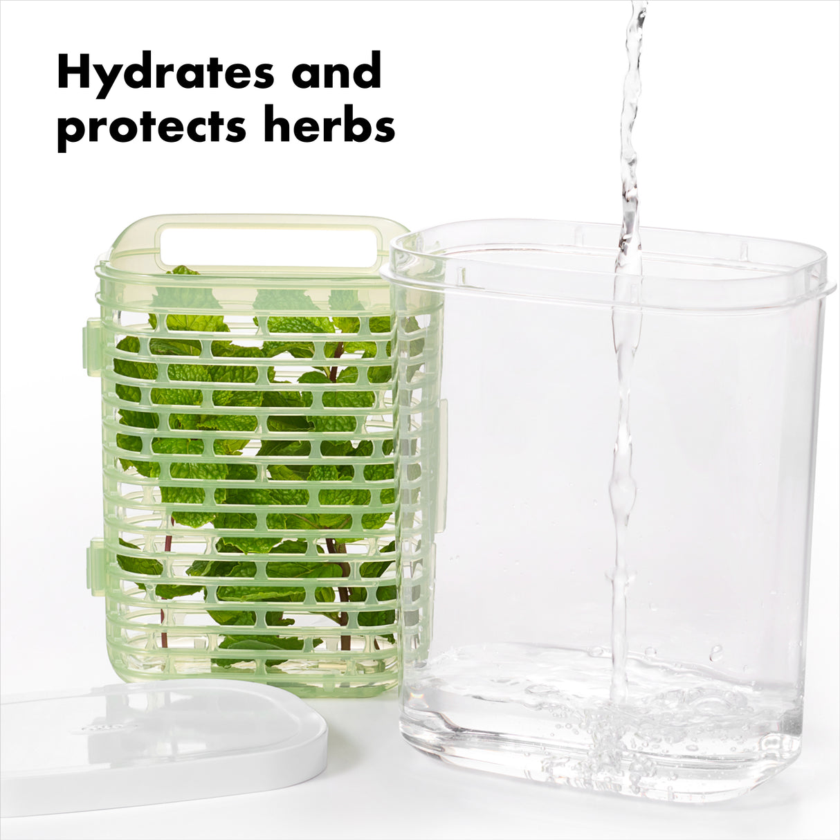 GreenSaver™ Herb Keeper - Small