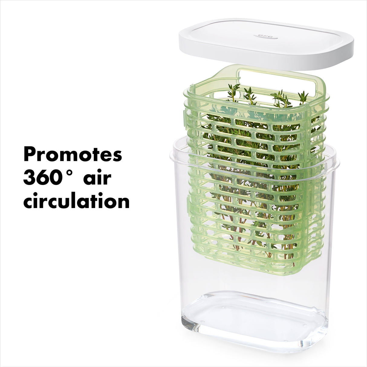 GreenSaver™ Herb Keeper - Small