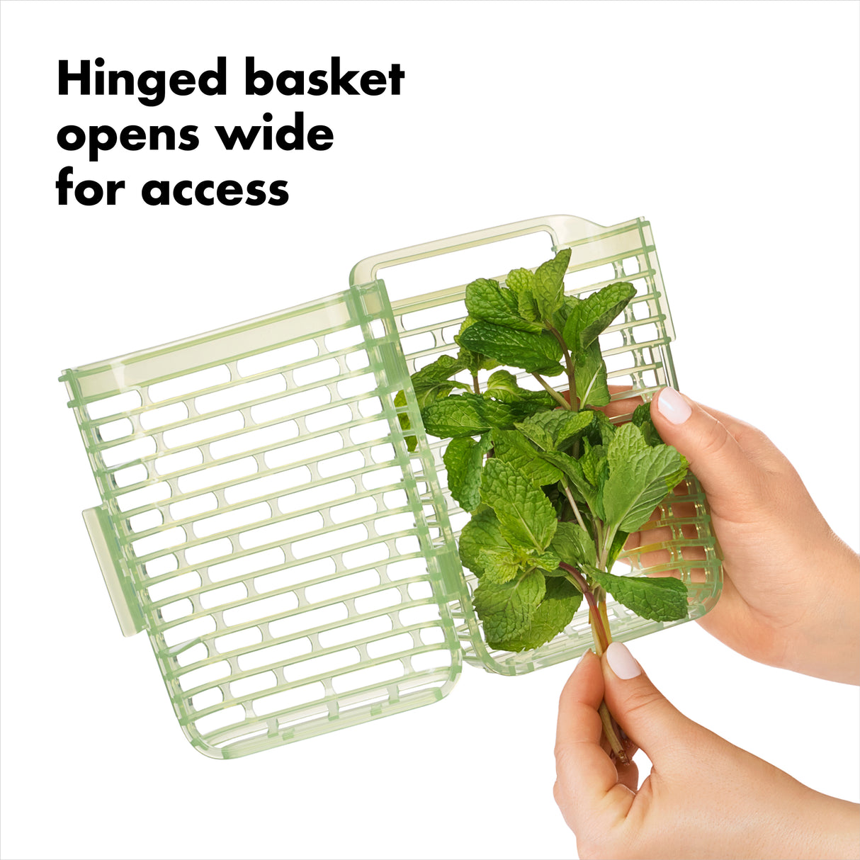 GreenSaver™ Herb Keeper - Small