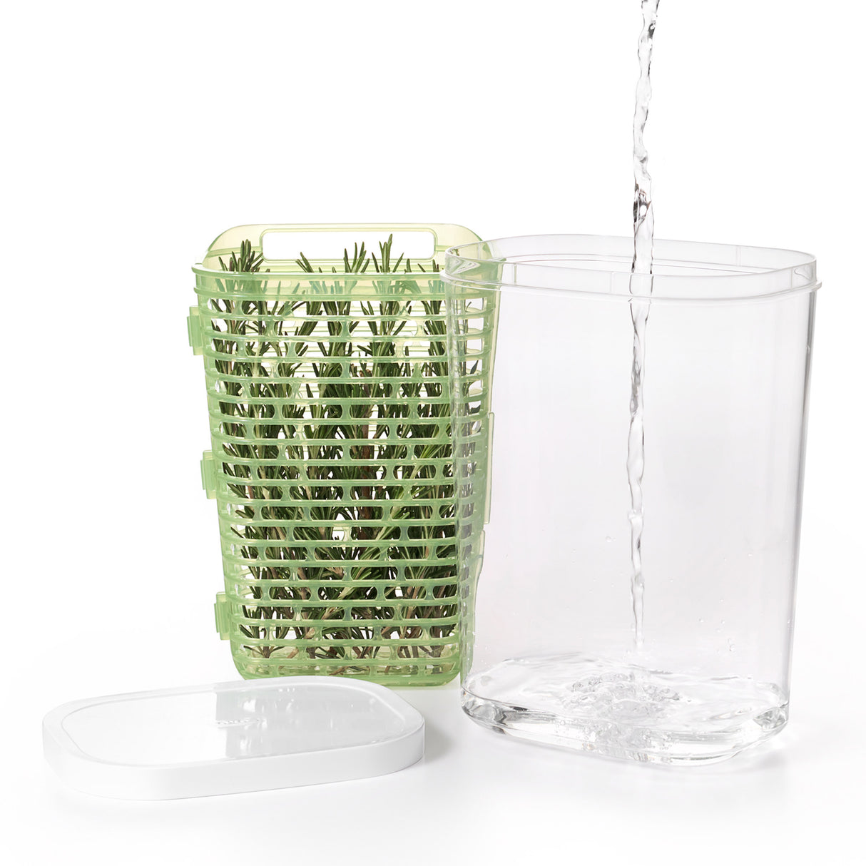 GreenSaver™ Herb Keeper - Large