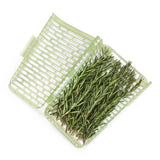 GreenSaver™ Herb Keeper - Large