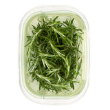 GreenSaver™ Herb Keeper - Large